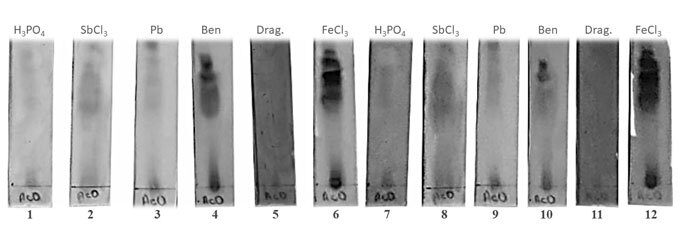 Anacardium excelsum phytochemical analysis and in vitro antimicrobial activity against oral cavity microorganisms.