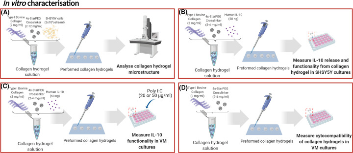 Anti-inflammatory cytokine-eluting collagen hydrogel reduces the host immune response to dopaminergic cell transplants in a rat model of Parkinson's disease.