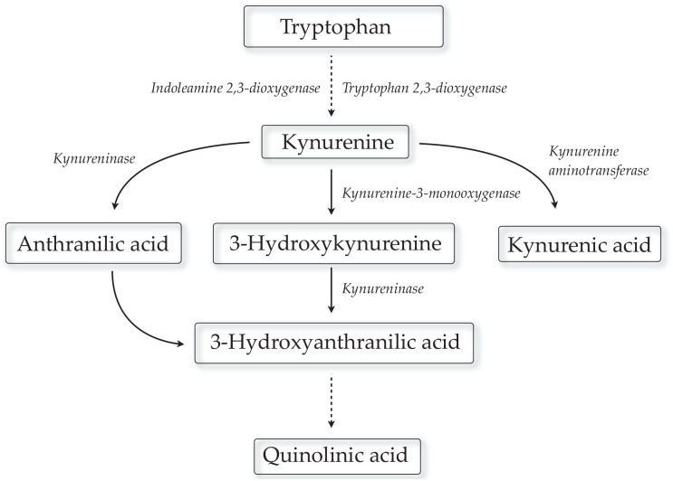 Blockade of KAT II Facilitates LTP in Kynurenine 3-Monooxygenase Depleted Mice.