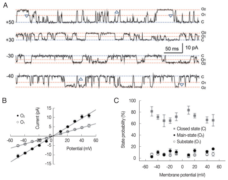 Electrophysiological Properties of Ion Channels in Ascaris suum Tissue Incorporated into Planar Lipid Bilayers.