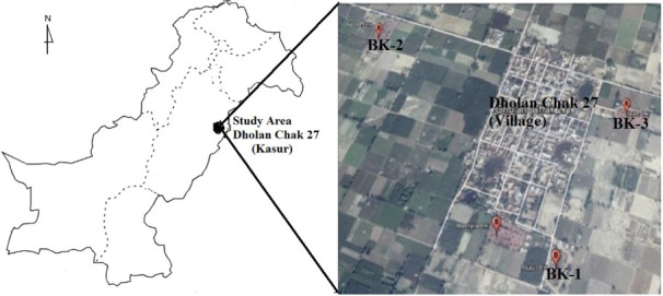 Impact of Air Pollution Generated by Brick Kilns on the Pulmonary Health of Workers.