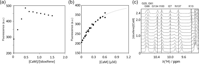 High-affinity tamoxifen analogues retain extensive positional disorder when bound to calmodulin.
