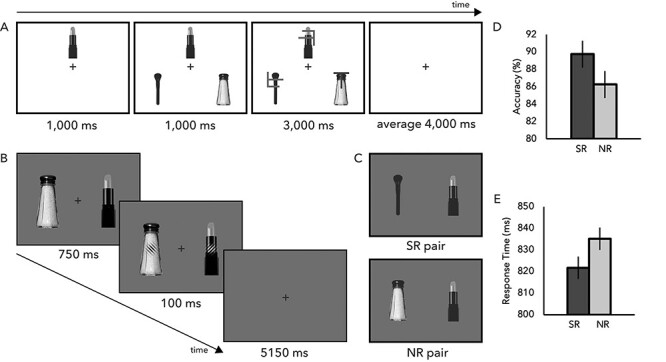 Task-Irrelevant Semantic Properties of Objects Impinge on Sensory Representations within the Early Visual Cortex.