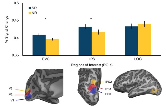 Task-Irrelevant Semantic Properties of Objects Impinge on Sensory Representations within the Early Visual Cortex.