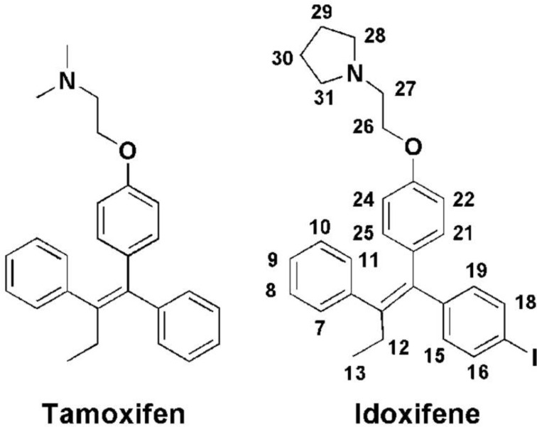 High-affinity tamoxifen analogues retain extensive positional disorder when bound to calmodulin.