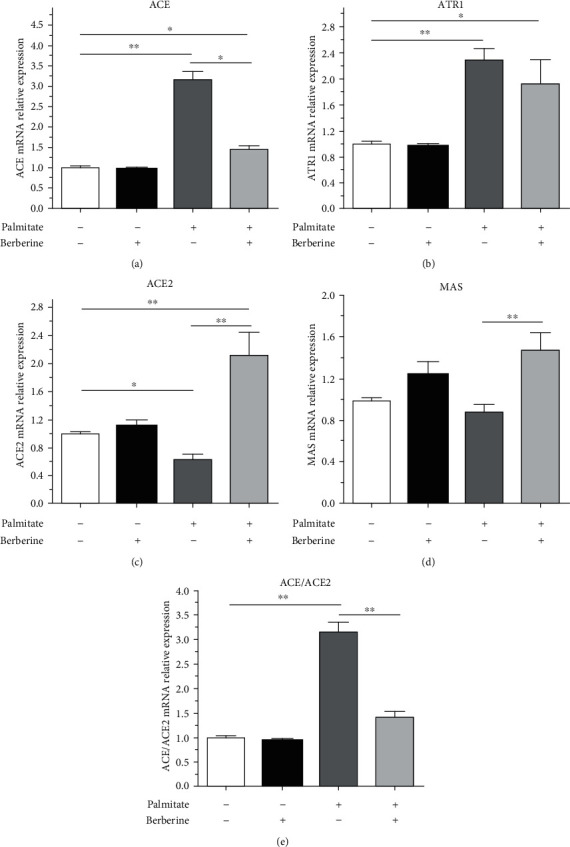 Berberine Reshapes the Balance of the Local Renin-Angiotensin System by Modulating Autophagy under Metabolic Stress in Pancreatic Islets.