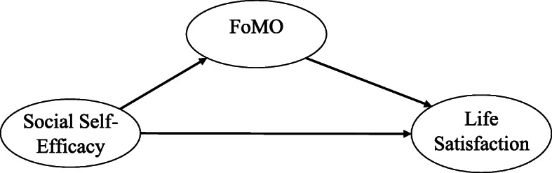 Fear of missing out (FoMO) mediate relations between social self-efficacy and life satisfaction.