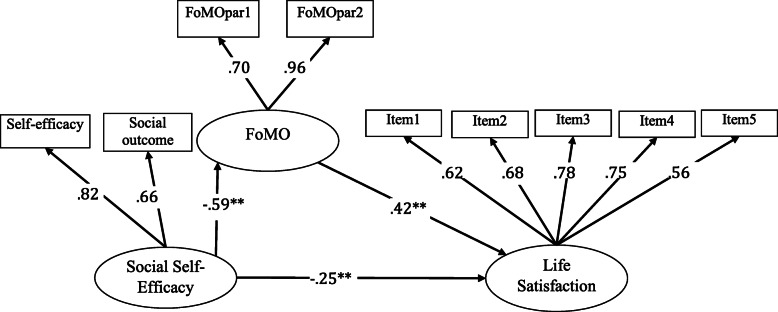 Fear of missing out (FoMO) mediate relations between social self-efficacy and life satisfaction.