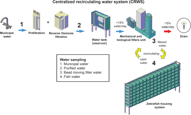 A Systematic Analysis of Metal and Metalloid Concentrations in Eight Zebrafish Recirculating Water Systems.