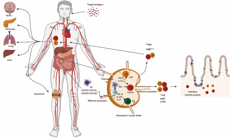 Oral tolerance as antigen-specific immunotherapy.