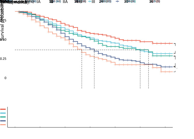 Validation and modification of the AJCC 8th TNM staging system for pancreatic ductal adenocarcinoma in a Chinese cohort: A nationwide pancreas data center analysis.