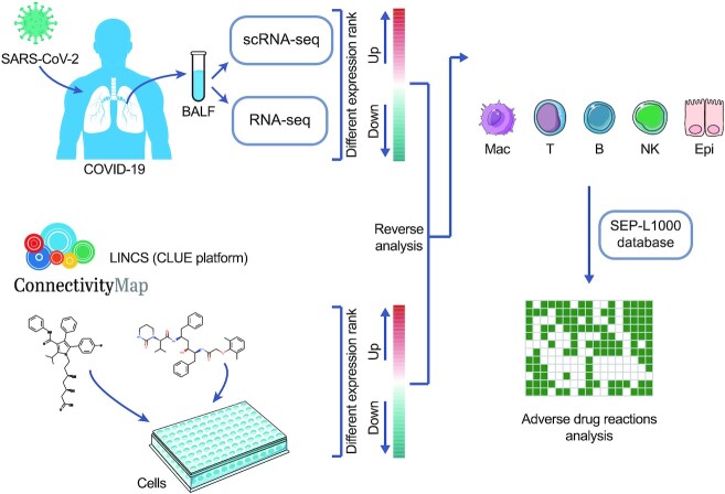 Repurposable drugs for SARS-CoV-2 and influenza sepsis with scRNA-seq data targeting post-transcription modifications.