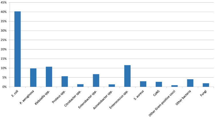 Healthcare-associated urinary tract infections in urology.