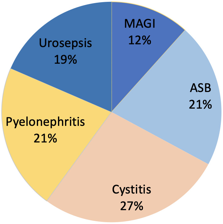 Healthcare-associated urinary tract infections in urology.