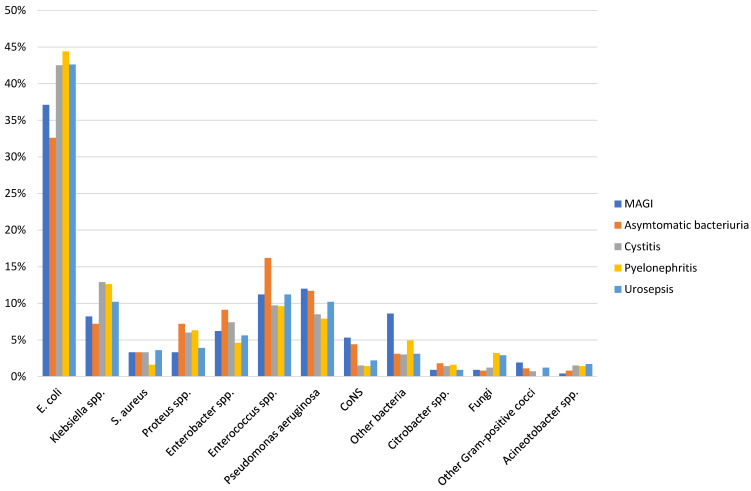 Healthcare-associated urinary tract infections in urology.