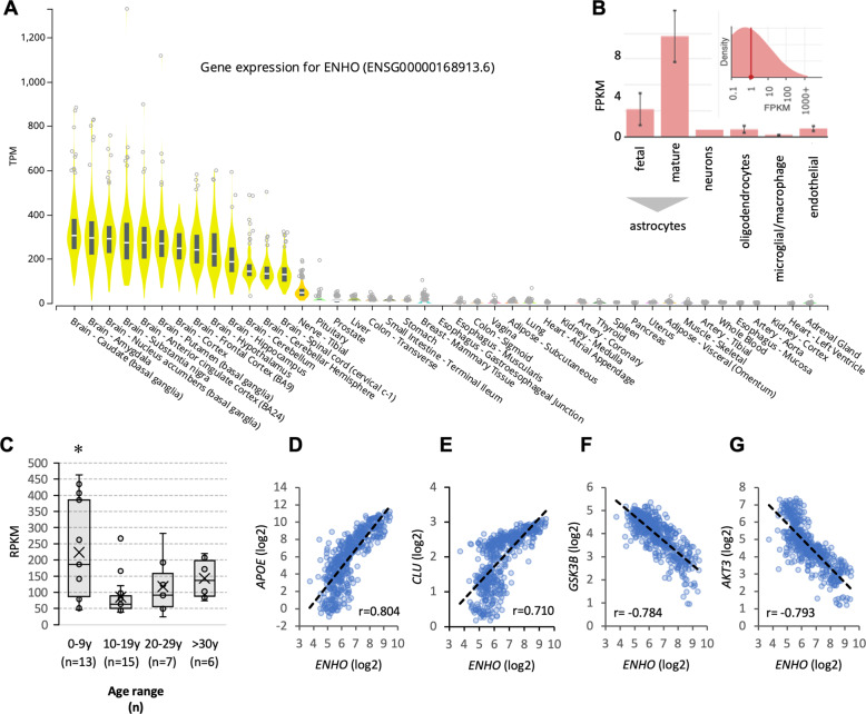 Adropin correlates with aging-related neuropathology in humans and improves cognitive function in aging mice.