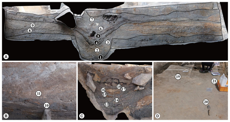 Helminth Eggs Detected in Soil Samples of a Possible Toilet Structure Found at the Capital Area of Ancient Baekje Kingdom of Korea.