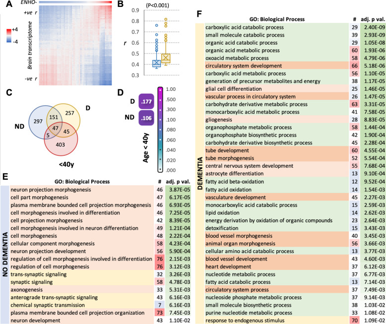 Adropin correlates with aging-related neuropathology in humans and improves cognitive function in aging mice.