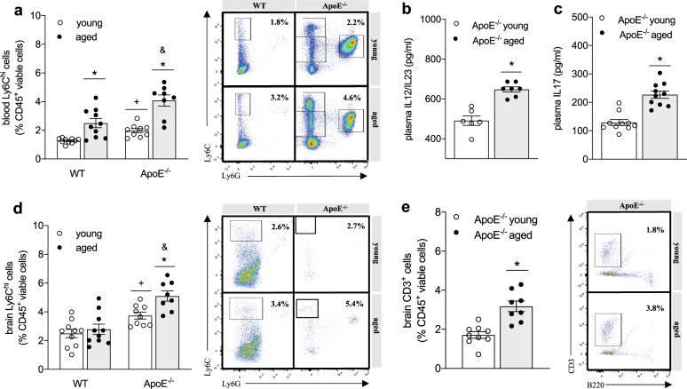 Simvastatin therapy attenuates memory deficits that associate with brain monocyte infiltration in chronic hypercholesterolemia.