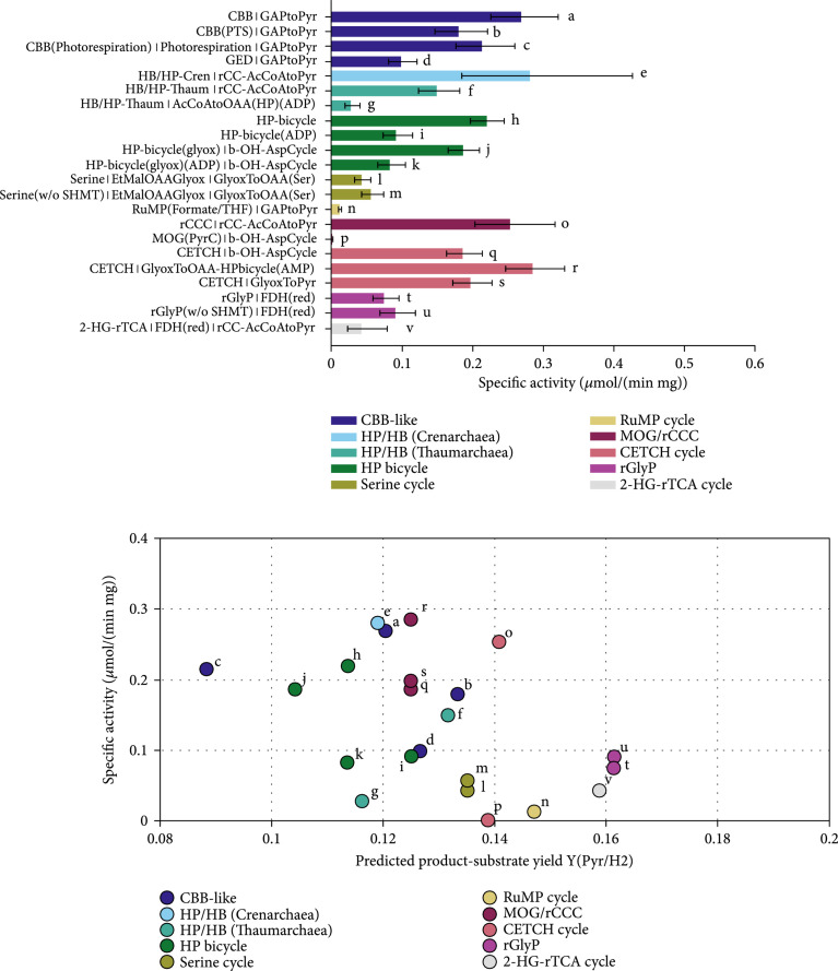 In-Depth Computational Analysis of Natural and Artificial Carbon Fixation Pathways.