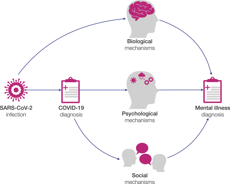 Why is COVID-19 associated with mental illness?