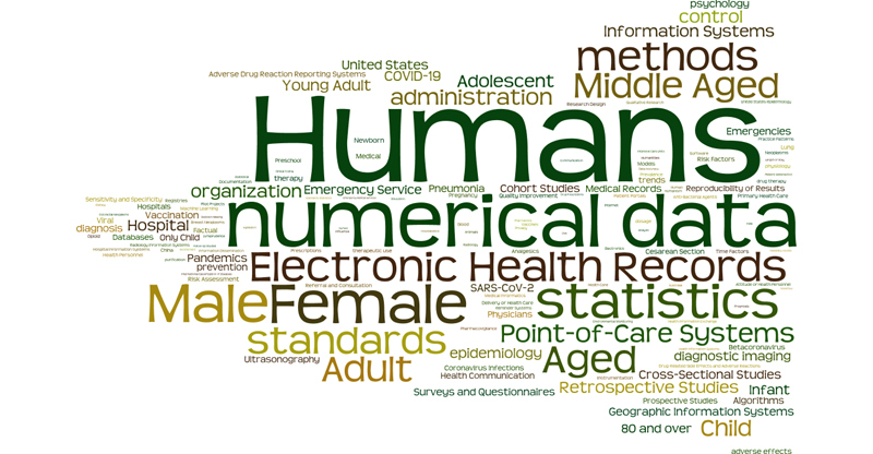 Clinical Information Systems Research in the Pandemic Year 2020.