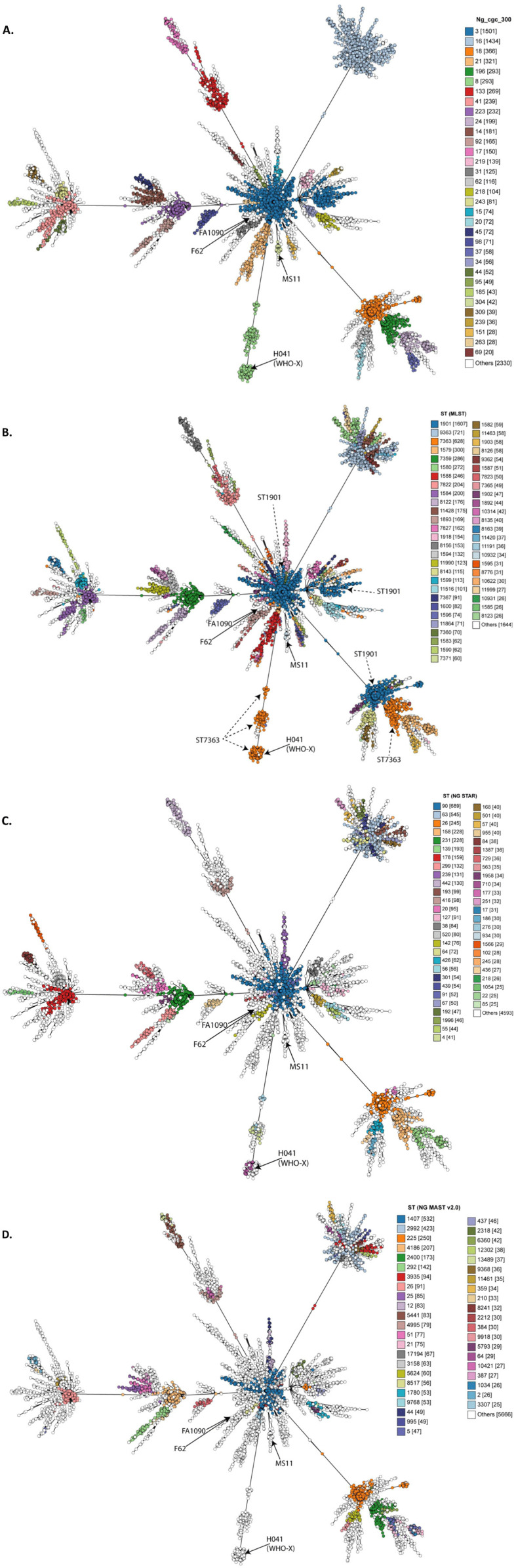 Recent advances in understanding and combatting <i>Neisseria gonorrhoeae</i>: a genomic perspective.