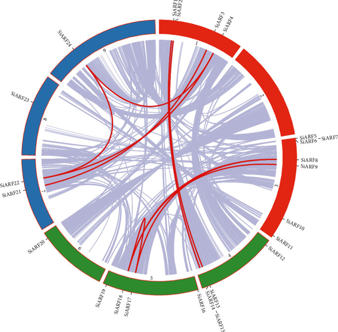 Whole-Genome Duplication and Purifying Selection Contributes to the Functional Redundancy of Auxin Response Factor (<i>ARF</i>) Genes in Foxtail Millet (<i>Setaria italica</i> L.).