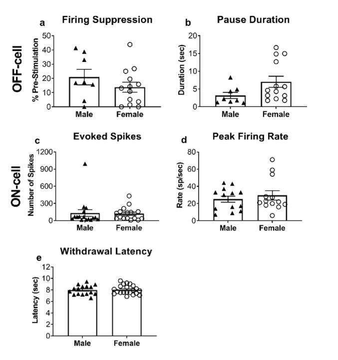 Physiological properties of pain-modulating neurons in rostral ventromedial medulla in female rats, and responses to opioid administration