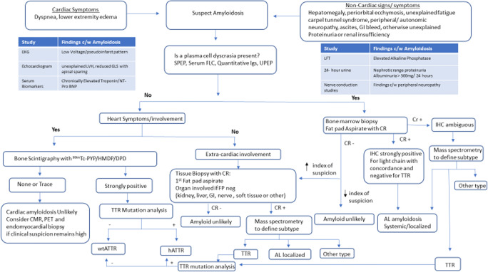 Amyloidosis with Cardiac Involvement: Identification, Characterization, and Management.