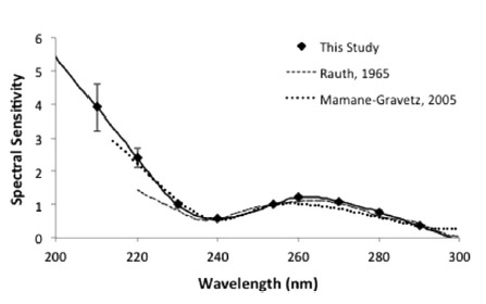 SARS-CoV-2 Ultraviolet Radiation Dose-Response Behavior.