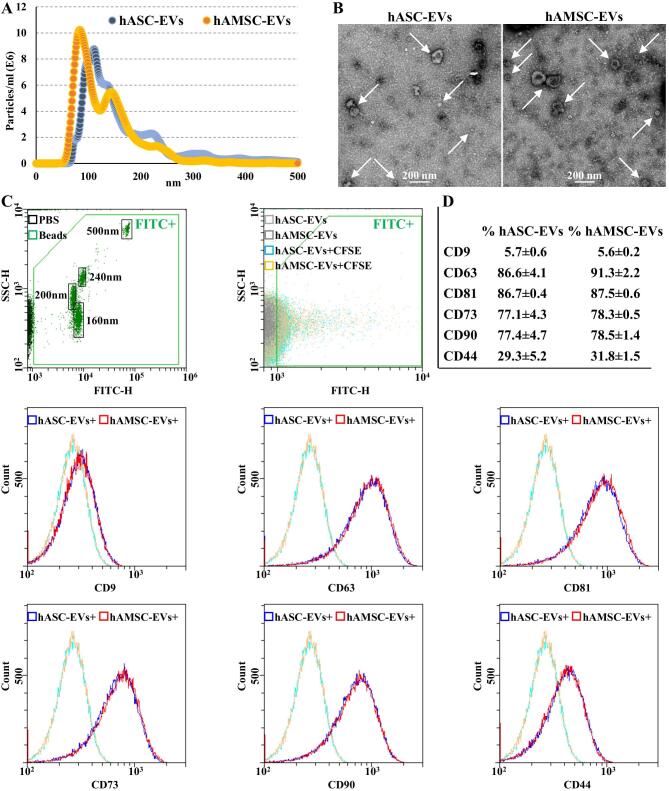 Comparison of miRNA cargo in human adipose-tissue <i>vs</i>. amniotic-membrane derived mesenchymal stromal cells extracellular vesicles for osteoarthritis treatment.