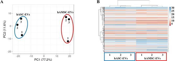 Comparison of miRNA cargo in human adipose-tissue <i>vs</i>. amniotic-membrane derived mesenchymal stromal cells extracellular vesicles for osteoarthritis treatment.