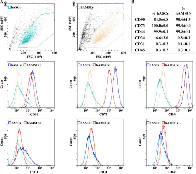 Comparison of miRNA cargo in human adipose-tissue <i>vs</i>. amniotic-membrane derived mesenchymal stromal cells extracellular vesicles for osteoarthritis treatment.