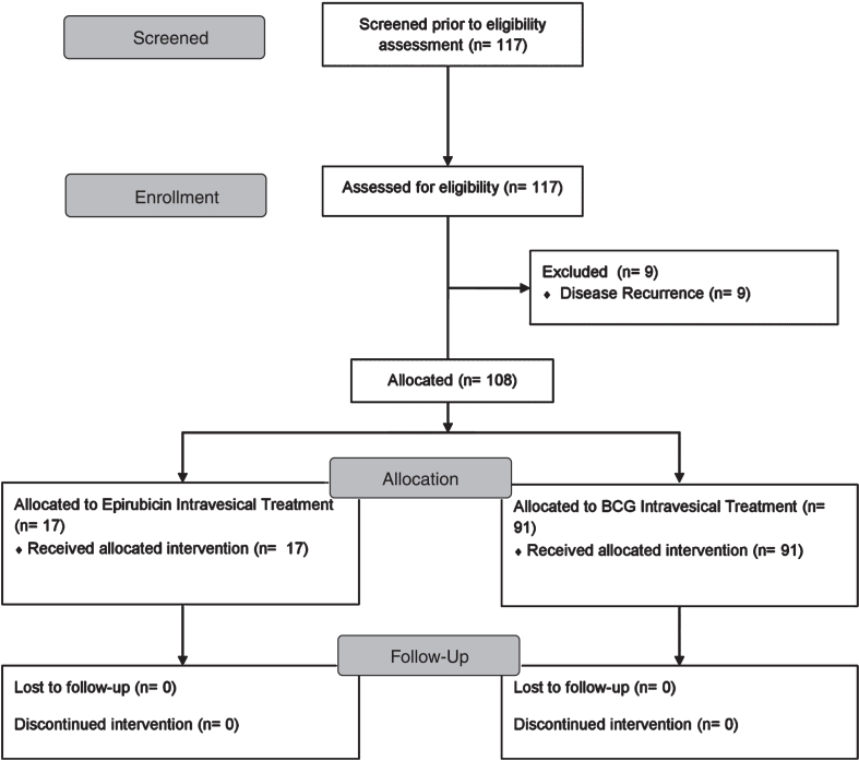 Quality of Life and Anxiety in Patients with First Diagnosed Non-Muscle Invasive Bladder Cancer Who Receive Adjuvant Bladder Therapy.
