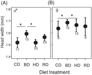 Effect of diet on body size and survival of omnivorous crickets