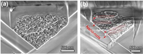 Measuring fracture toughness of human dental enamel at small scale using notched microcantilever beams