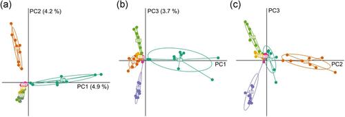 Inheritance of DNA methylation differences in the mangrove Rhizophora mangle