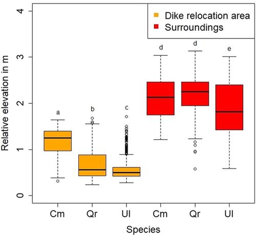 Effects of flooding duration on the occurrence of three hardwood floodplain forest species inside and outside a dike relocation area at the Elbe River