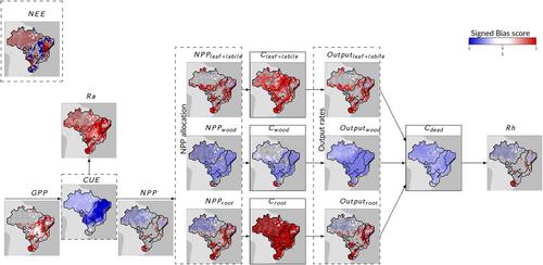 Evaluating two land surface models for Brazil using a full carbon cycle benchmark with uncertainties