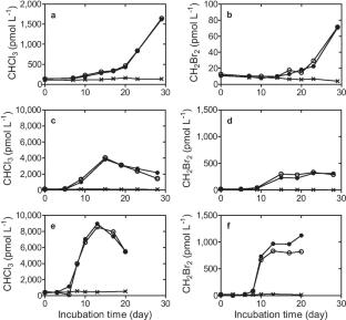 Effects of light intensity on the production of VSLs from the marine diatom Ditylum brightwellii