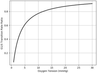 In silico simulation of the effect of hypoxia on MCF-7 cell cycle kinetics under fractionated radiotherapy