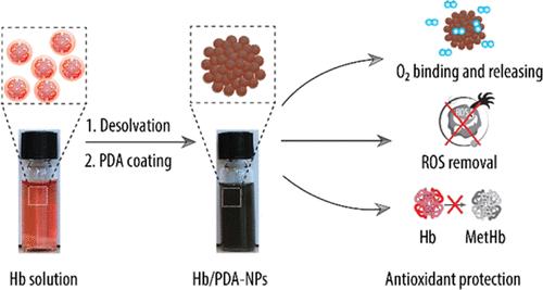 Synthesis of Nanoparticles Fully Made of Hemoglobin with Antioxidant Properties: A Step toward the Creation of Successful Oxygen Carriers