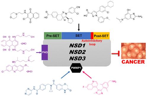 Targeting the Nuclear Receptor-Binding SET Domain Family of Histone Lysine Methyltransferases for Cancer Therapy: Recent Progress and Perspectives