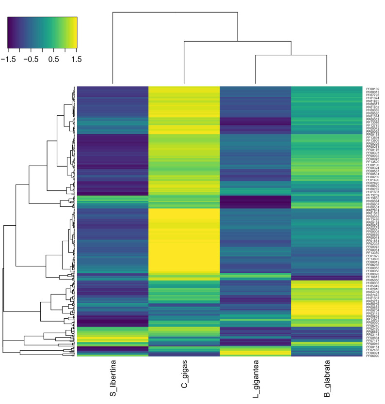 Draft genome of Semisulcospira libertina, a species of freshwater snail.