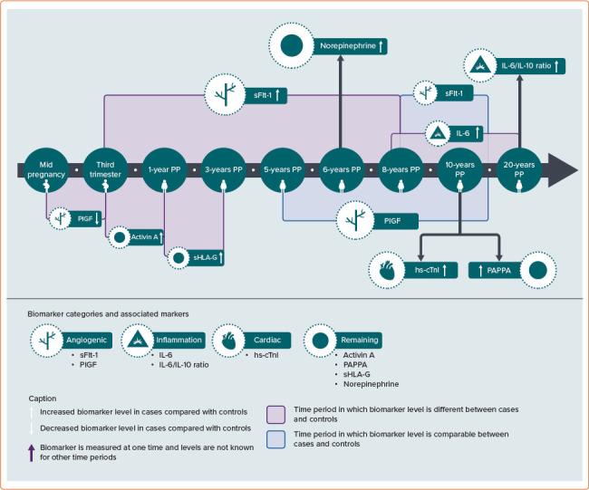 Novel Cardiovascular Biomarkers Associated with Increased Cardiovascular Risk in Women With Prior Preeclampsia/HELLP Syndrome: A Narrative Review.