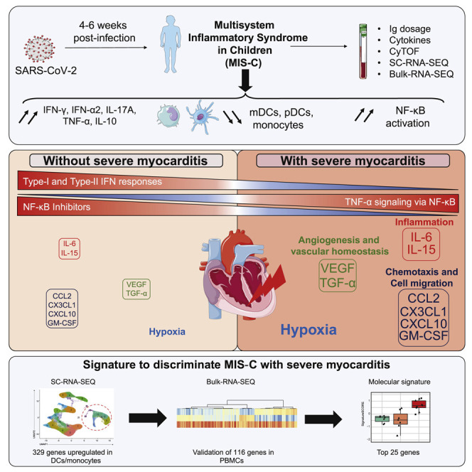 A monocyte/dendritic cell molecular signature of SARS-CoV-2-related multisystem inflammatory syndrome in children with severe myocarditis.
