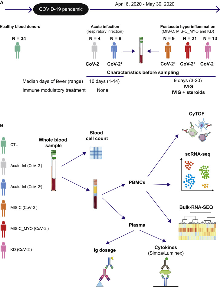 A monocyte/dendritic cell molecular signature of SARS-CoV-2-related multisystem inflammatory syndrome in children with severe myocarditis.