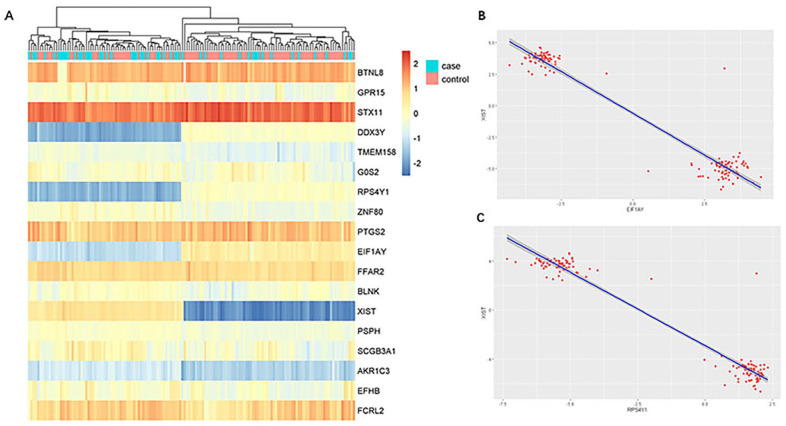 Biomarkers of Blood from Patients with Atherosclerosis Based on Bioinformatics Analysis.