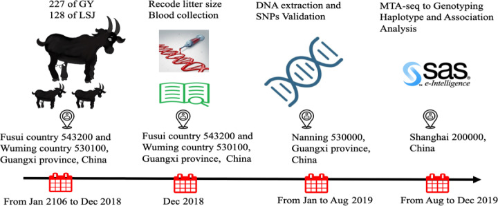 Population validation of reproductive gene mutation loci and association with the litter size in Nubian goat.